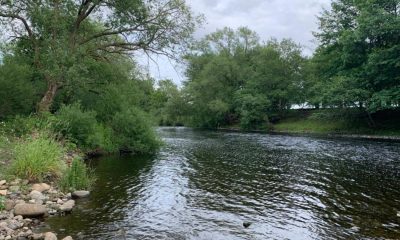 High Coniscliffe - 'Peaceful' village next to the River Tees