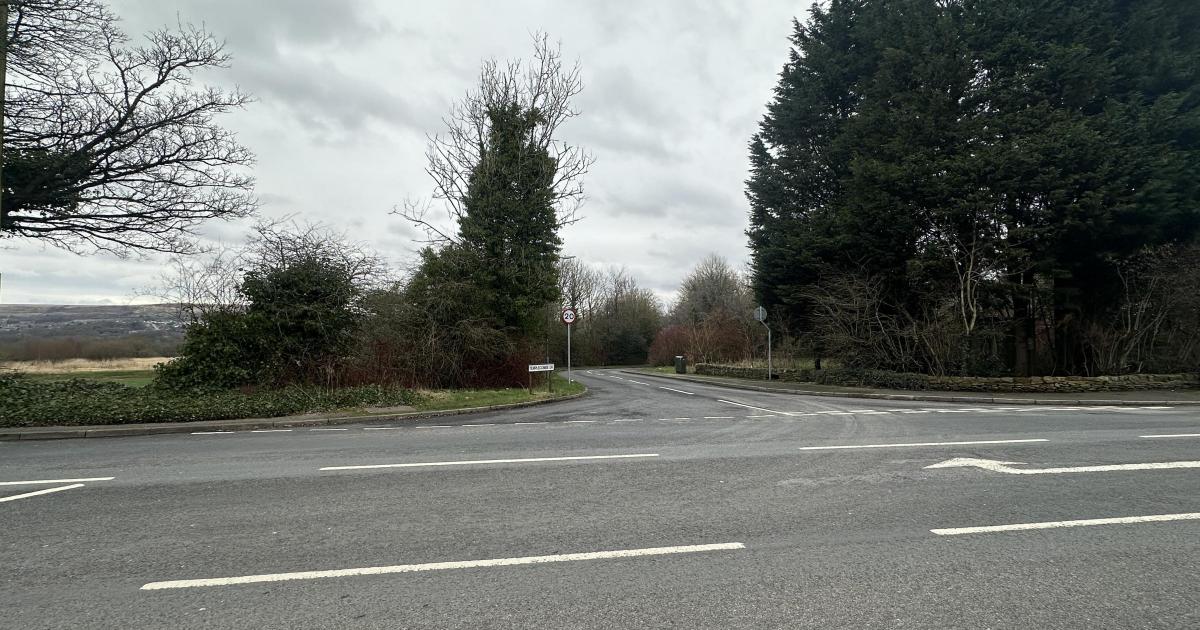 Fears over future of tree in scenic part of Astley Bridge