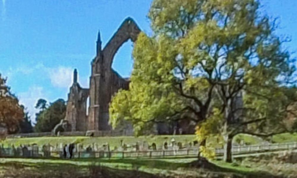 Dog and owner got into problems at Bolton Abbey today
