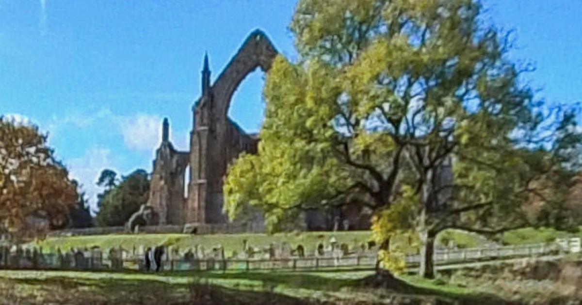 Dog and owner got into problems at Bolton Abbey today