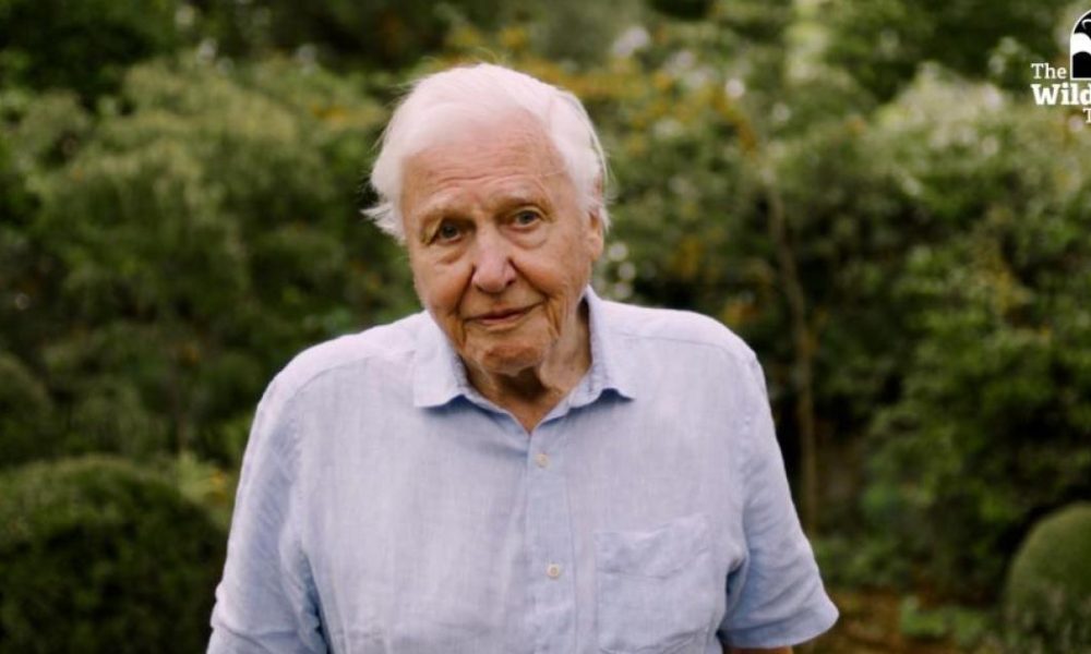 David Attenborough-backed rewilding plans sparked debate
