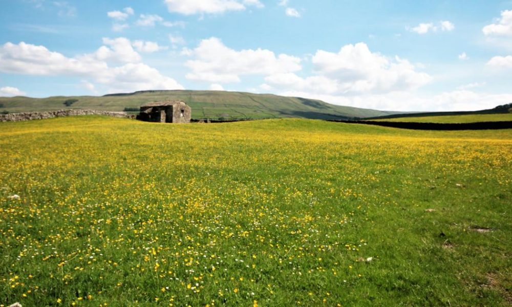 Cheese, pubs and waterfalls- why Hawes has been 'hailed a gem'