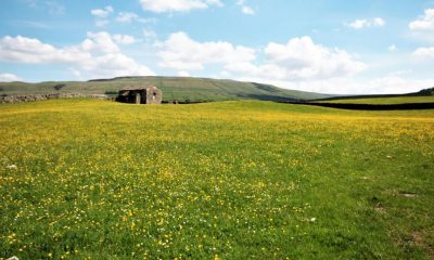 Cheese, pubs and waterfalls- why Hawes has been 'hailed a gem'