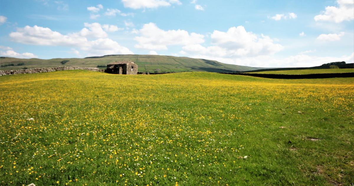 Cheese, pubs and waterfalls- why Hawes has been 'hailed a gem'