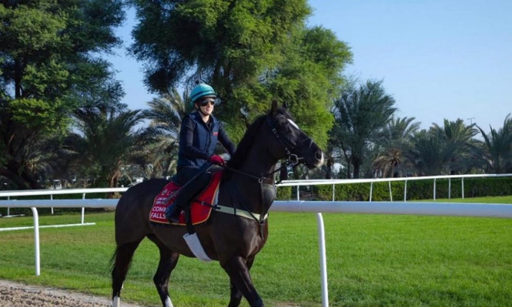 Darlington racing trainer tells of Bahrain missile attack