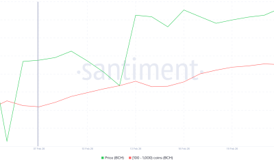 Bitcoin Holder Accumulation