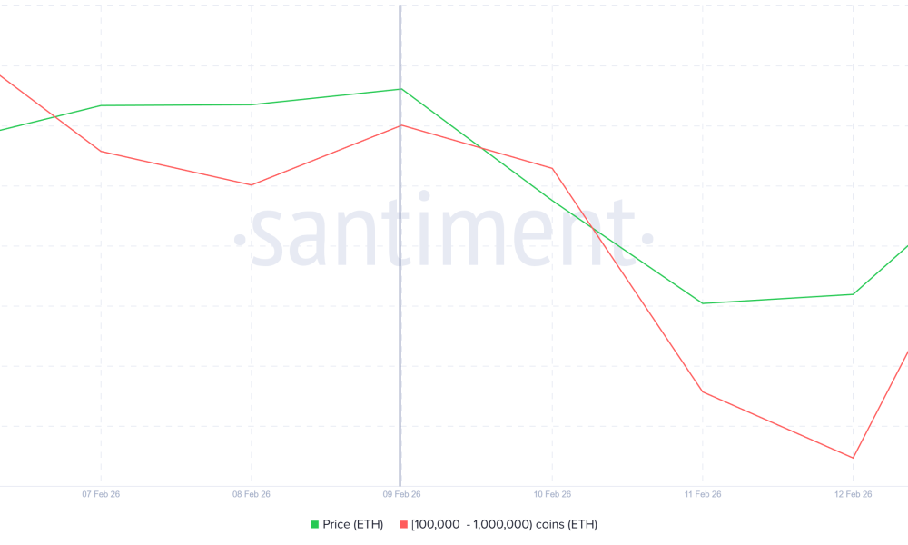 Ethereum Whale Holding
