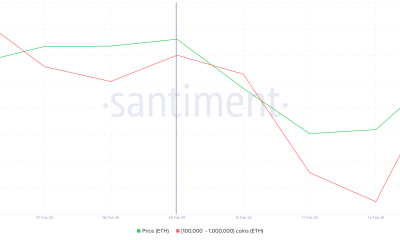 Ethereum Whale Holding
