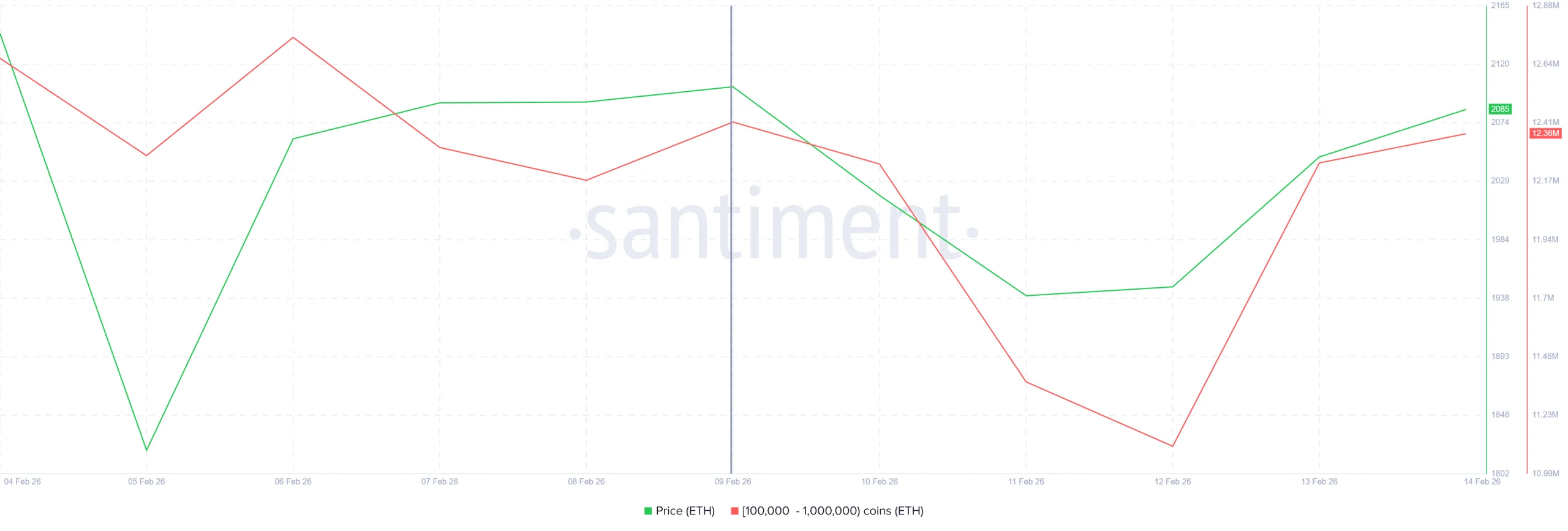 Ethereum Whale Holding