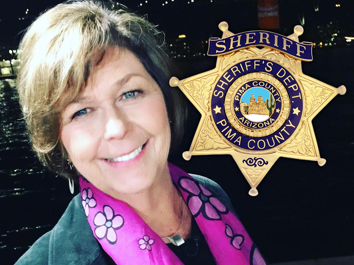 nancy guthrie pima county sheriff main insta composite