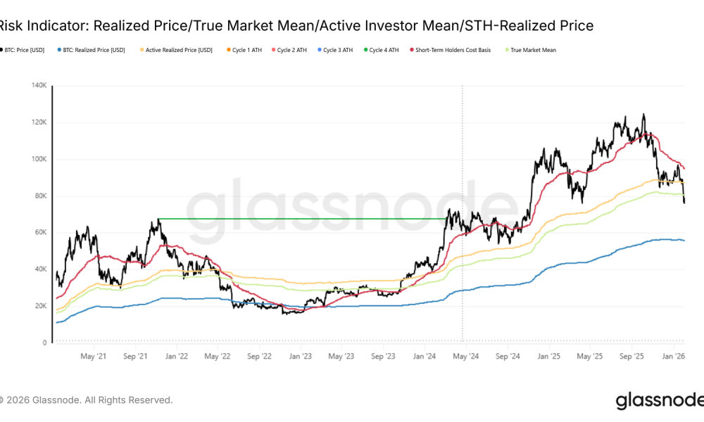 Bitcoin Below True Market Mean
