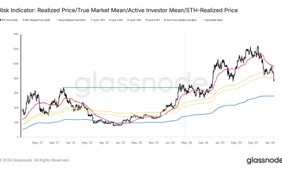 Bitcoin Below True Market Mean