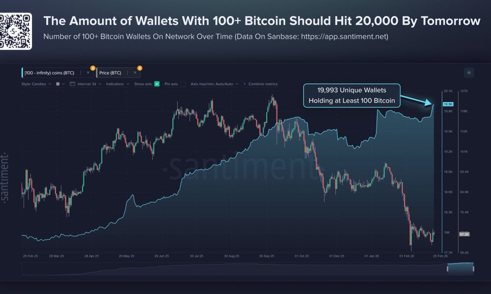 Bitcoin Wallets Holding 100 BTC