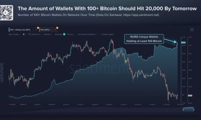 Bitcoin Wallets Holding 100 BTC