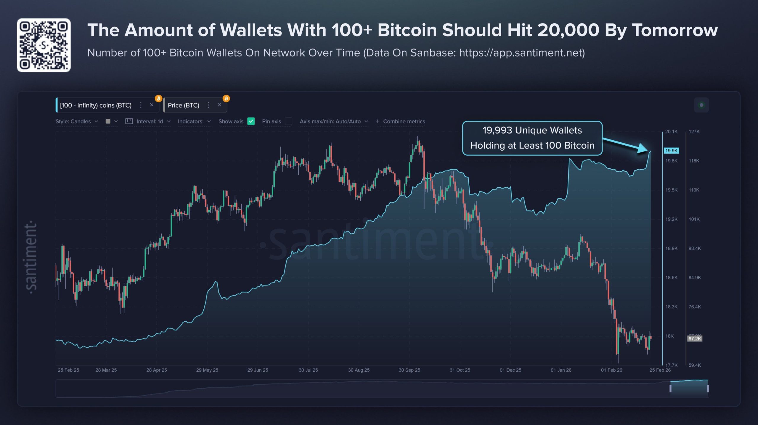 Bitcoin Wallets Holding 100 BTC