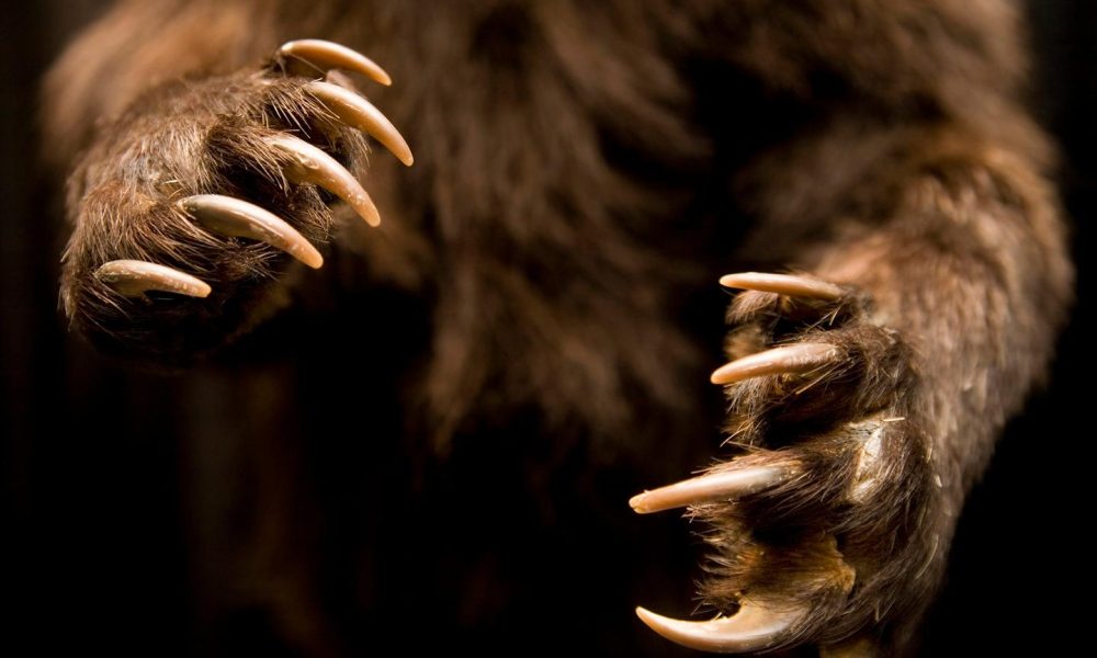 BTC's advance appearing to be a one-day event