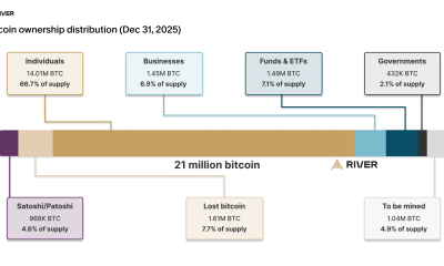 Distribution of Bitcoin Ownership Among Various Investors