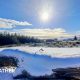 Sun in the blue sky above snow covered field and fallen tree, with a pine forest in the distance