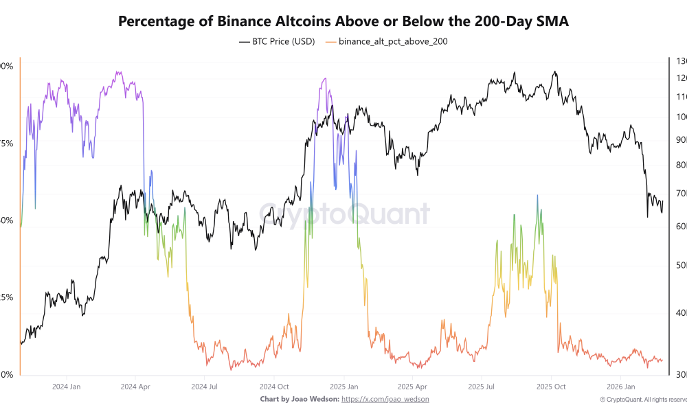 Percentage of Binance Altcoins Above or Below the 200-Day SMA. Source: CryptoQuant.