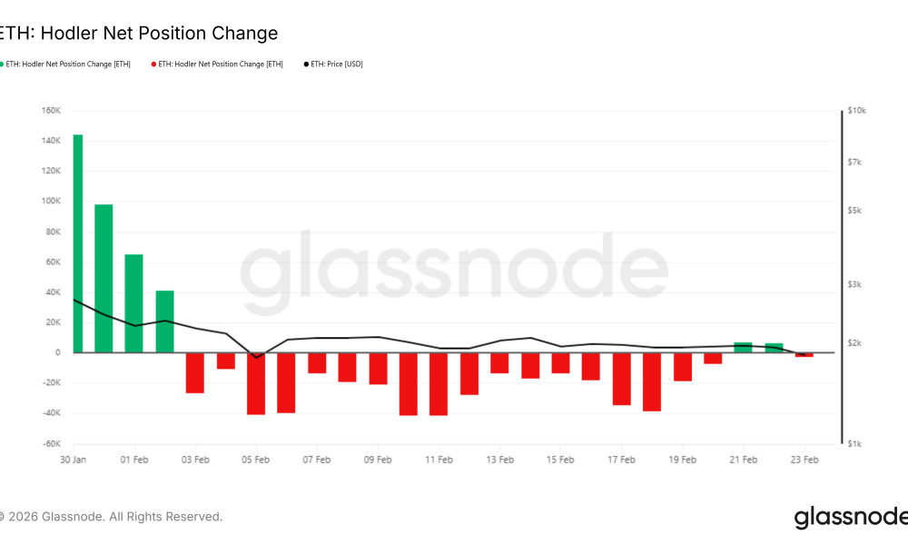 Ethereum HODLer Position Change