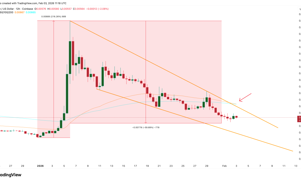 12-Hour XCN Price Structure