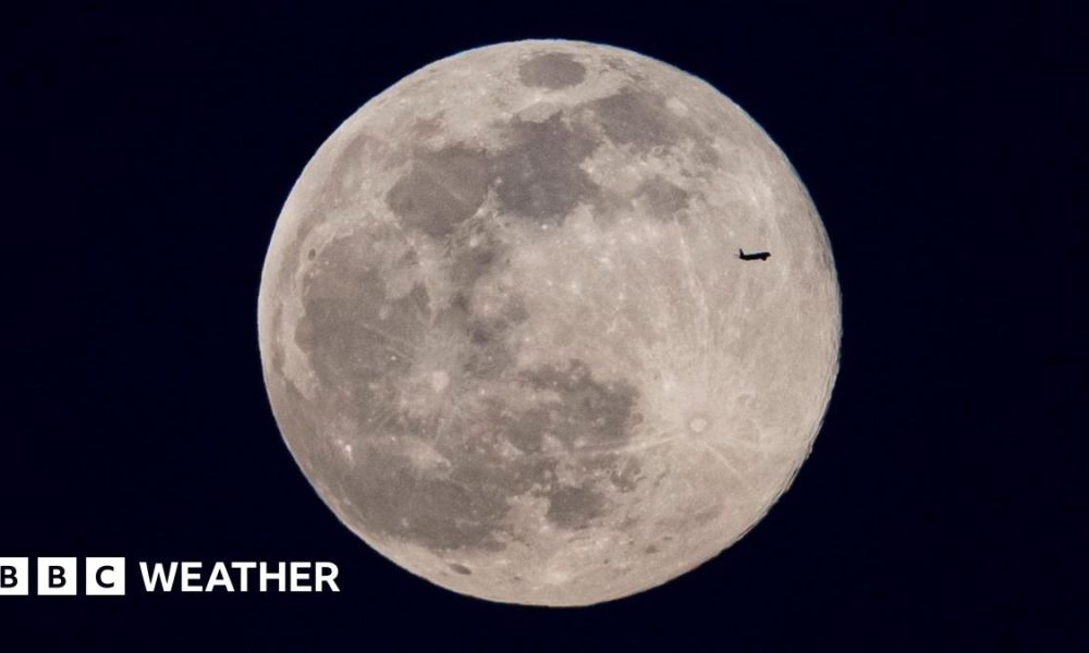 Two birds silhouetted by moonlight with a heart shape formed by their necks and beaks