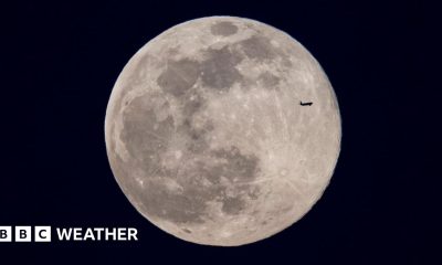 Two birds silhouetted by moonlight with a heart shape formed by their necks and beaks