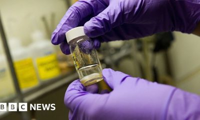 Single vaccine could protect against all coughs, colds and flus, researchers say