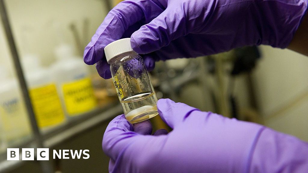 Single vaccine could protect against all coughs, colds and flus, researchers say