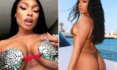 Megan Thee Stallion's Hot Shots