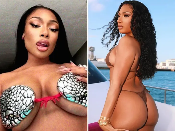 Megan Thee Stallion's Hot Shots