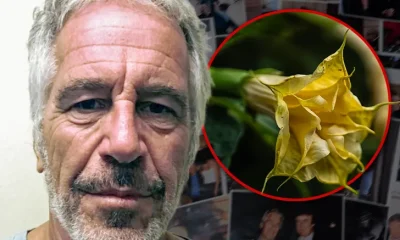 jeffrey epstein angel trumpet plant getty 1