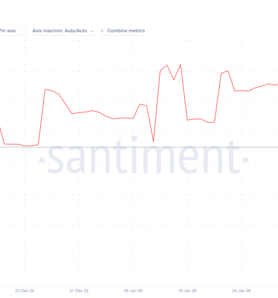 3 Altcoins That Are Not in a Bear Market and Could Rally