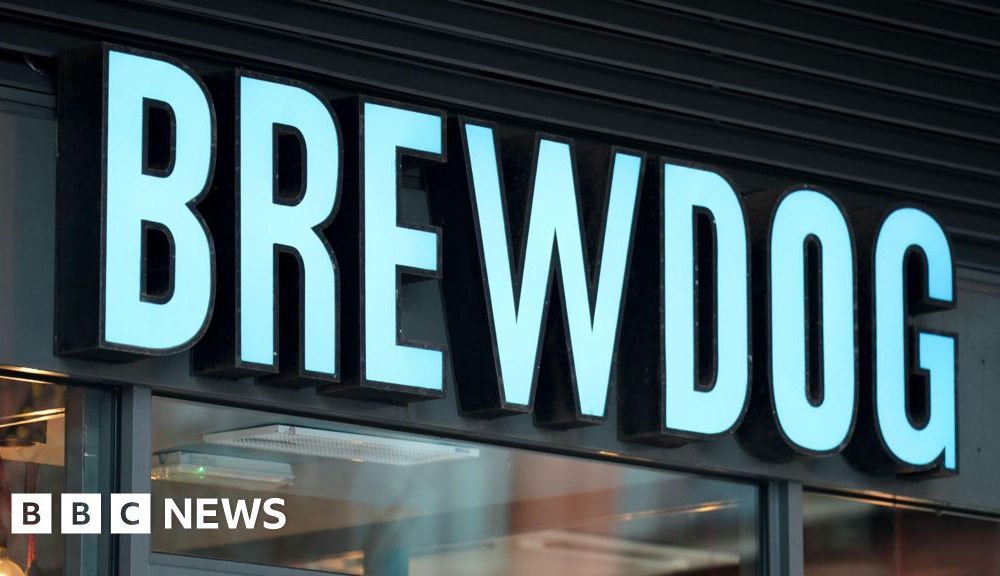 Brewdog staff 'upset and concerned' by sale plans