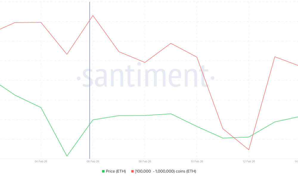 Ethereum Whale Holding.