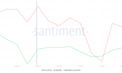 Ethereum Whale Holding.