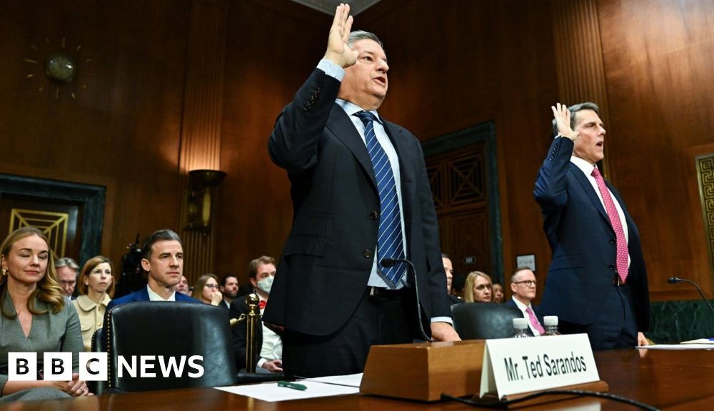 Netflix and Warner Bros struggle to defend merger