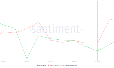 Cardano Whale Holdings.