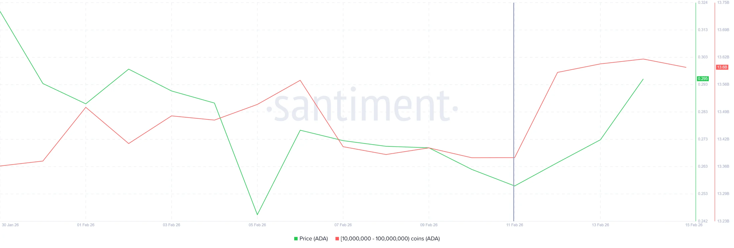 Cardano Whale Holdings.