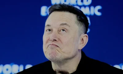 It Sure Seems Like Elon Musk Was Excited To Go To Epstein's Island, Emails Show