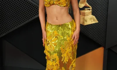 Grammys 2026 Red Carpet: All The Celebrity Photos You Need To See