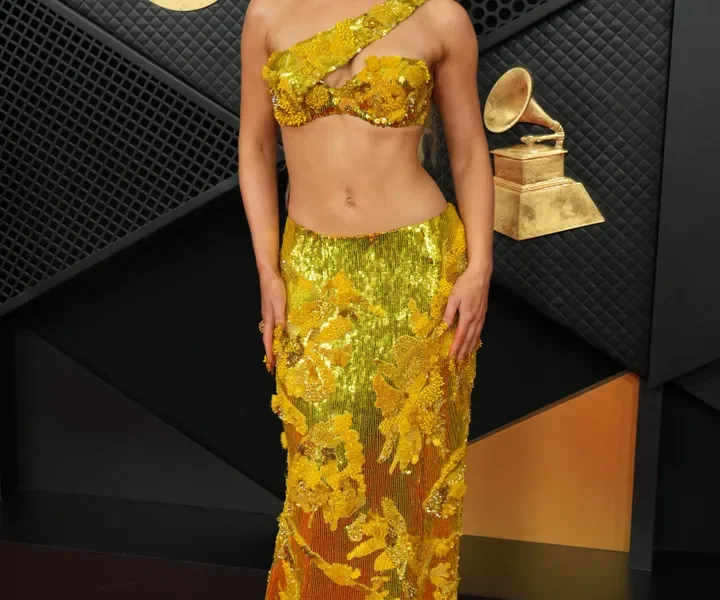 Grammys 2026 Red Carpet: All The Celebrity Photos You Need To See