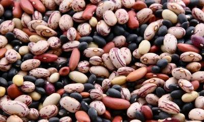 Which Beans Are The Healthiest?