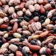 Which Beans Are The Healthiest?