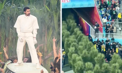 Bad Bunny Super Bowl Director Explains Tree Costumes During Show