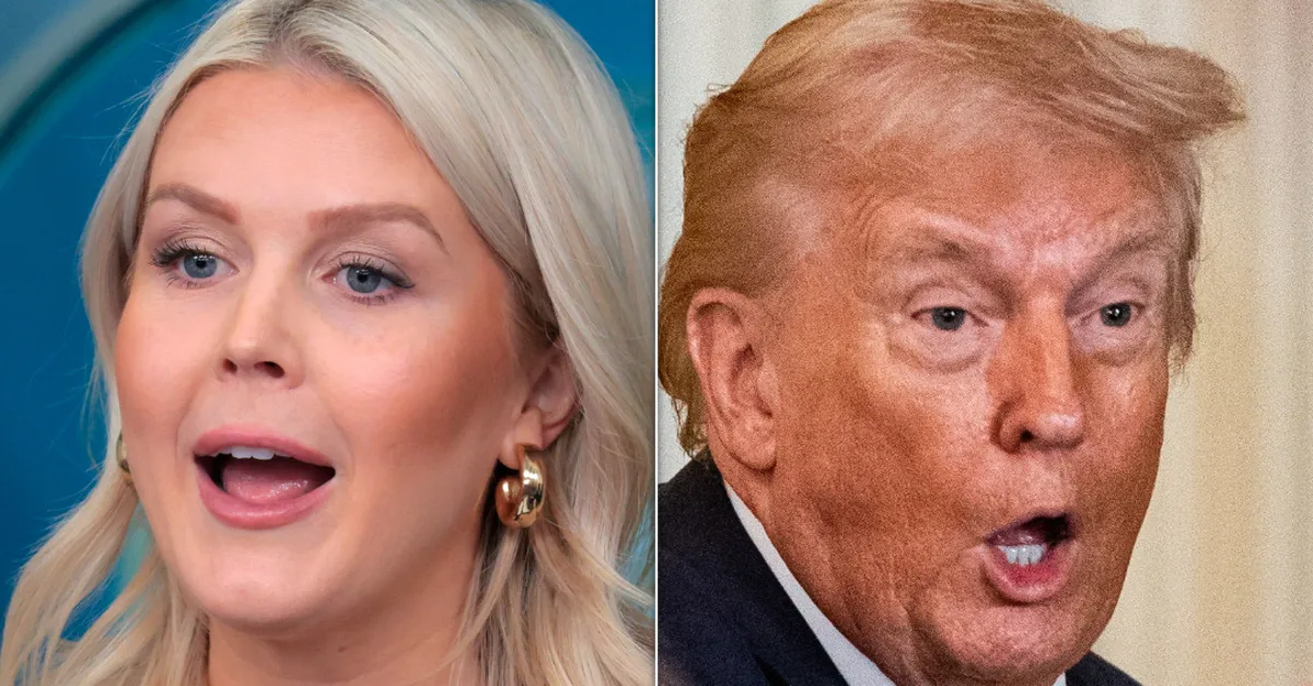 Karoline Leavitt Just Totally Undermined Trump's 'I Didn't Do It' Claim