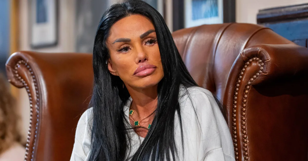 Katie Price's Rep Sets The Record Straight On Pregnancy Headlines