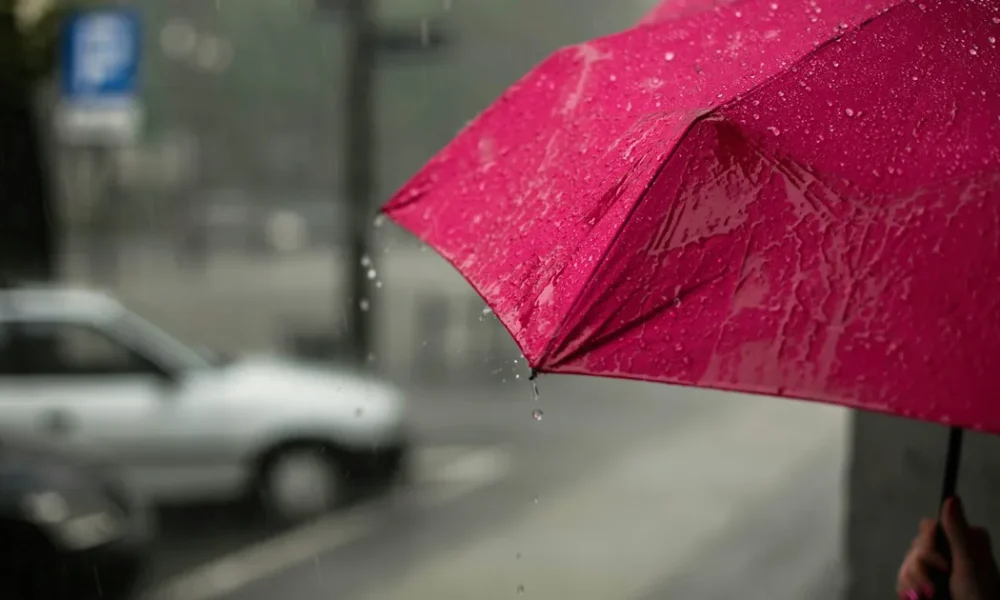 Is Winter Going To Be Very Wet From Now On? Experts Comment