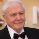 David Attenborough Documentaries Announced By BBC To Mark His 100th Birthday