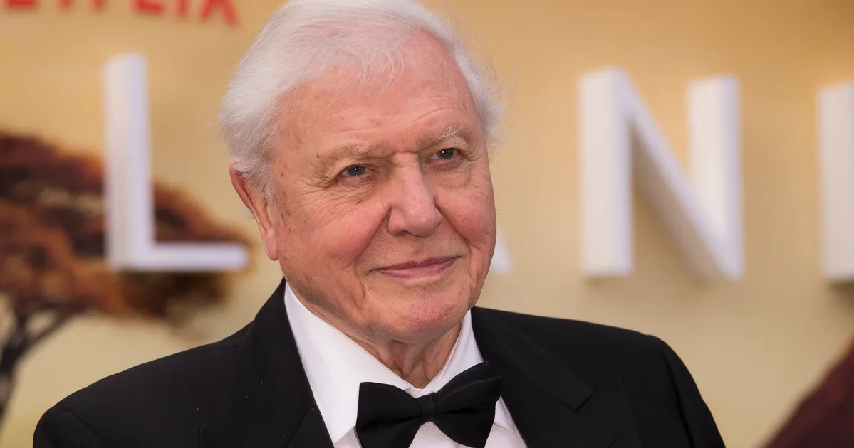 David Attenborough Documentaries Announced By BBC To Mark His 100th Birthday